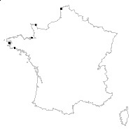 Polygonum raii subsp. norvegicum Sam. - carte des observations