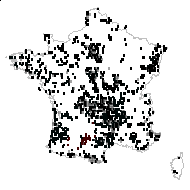 Acetosella vulgaris Fourr. - carte des observations