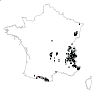 Rumex arifolius All. - carte des observations