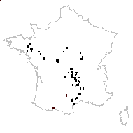 Arnoseris minima (L.) Schweigg. & Körte - carte des observations