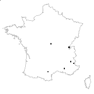 Pilosella sp. - carte des observations