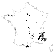 Absinthium vulgare Lam. - carte des observations