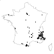 Absinthium officinale Brot. - carte des observations