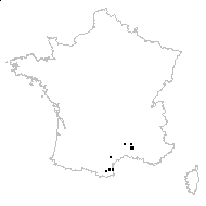 Scrophularia canina subsp. pinnatifida (Brot.) J.M.Tison var. pinnatifida - carte des observations