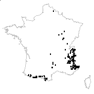 Rumex scutatus L. subsp. scutatus - carte des observations