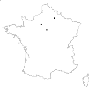 Koeleria pyramidata (Lam.) P.Beauv. subsp. pyramidata - carte des observations