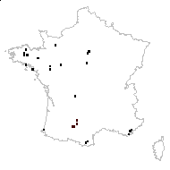 Montia minor var. latifolia Cariot & St.-Lag. - carte des observations