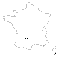 Artemisia arborescens (Vaill.) L. - carte des observations