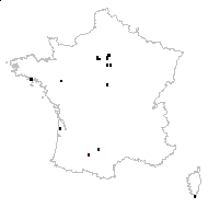 Anagallis minima (L.) E.H.L.Krause - carte des observations