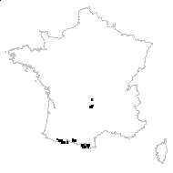 Androsace carnea subsp. lachenalii (C.C.Gmel.) Rouy - carte des observations