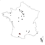 Cyclamen hederifolium Aiton - carte des observations
