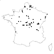 Hottonia palustris L. - carte des observations