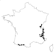 Primula farinosa subsp. alpigena O.Schwarz - carte des observations