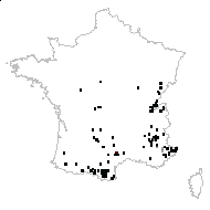 Primula columnae Ten. - carte des observations