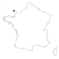 Centaurium scilloides (L.f.) Samp. - carte des observations
