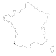Soldanella villosa Darracq ex Labarrère - carte des observations