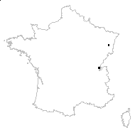 Lysimachia europaea (L.) U.Manns & Anderb. - carte des observations