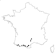 Laserpitium nestleri Soy.-Will. subsp. nestleri - carte des observations