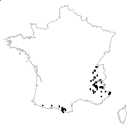 Aconitum anthora var. atrovirens DC. - carte des observations