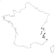 Aconitum ×luridum Salisb. - carte des observations