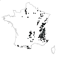 Actaea spicata L. - carte des observations