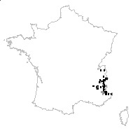 Anemone baldensis L. - carte des observations