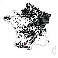 Anemonanthea nemorosa (L.) Gray - carte des observations