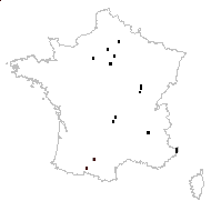 Anemone ranunculoides L. subsp. ranunculoides - carte des observations