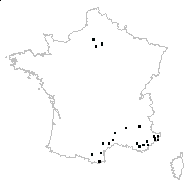 Clematis recta L. - carte des observations