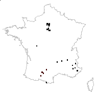 Consolida ajacis (L.) Schur - carte des observations