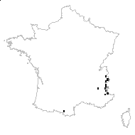 Artemisia genipi var. accedens Rouy - carte des observations