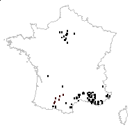 Nigella multifida Gaterau - carte des observations