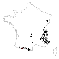 Pulsatilla alpina (L.) Delarbre - carte des observations