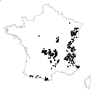 Ranunculus aconitifolius L. - carte des observations