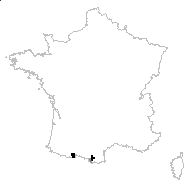 Ranunculus alismoides Bory - carte des observations