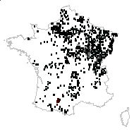 Ranunculus auricomus L. - carte des observations