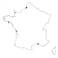 Batrachium marinum Fr. - carte des observations