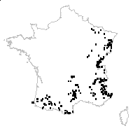 Ranunculus breyninus Crantz - carte des observations