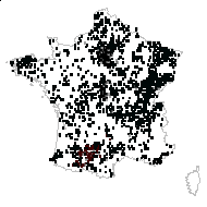 Ranunculus ficaria L. - carte des observations