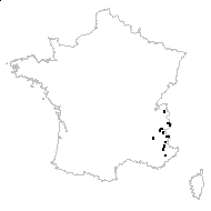 Ranunculus kuepferi Greuter & Burdet subsp. kuepferi - carte des observations