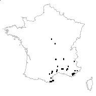 Ranunculus monspeliacus L. - carte des observations