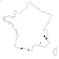 Ranunculus cordiformis Dulac - carte des observations