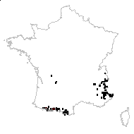 Ranunculus pyrenaeus L. - carte des observations
