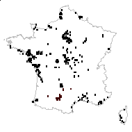 Ranunculus philonotis var. intermedius DC. - carte des observations