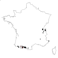 Ranunculus squamosus Dulac - carte des observations
