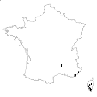 Ranunculus velutinus Ten. - carte des observations