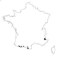 Thalictrum alpinum L. - carte des observations