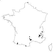 Thalictrum minus subsp. saxatile Ces. - carte des observations