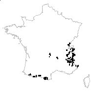 Trollius europaeus L. subsp. europaeus - carte des observations