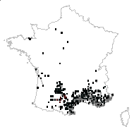 Rhamnus alaternus var. chlorocarpus P.P.Ferrer, M.Pereira, Ll.Viciano & E.Laguna - carte des observations